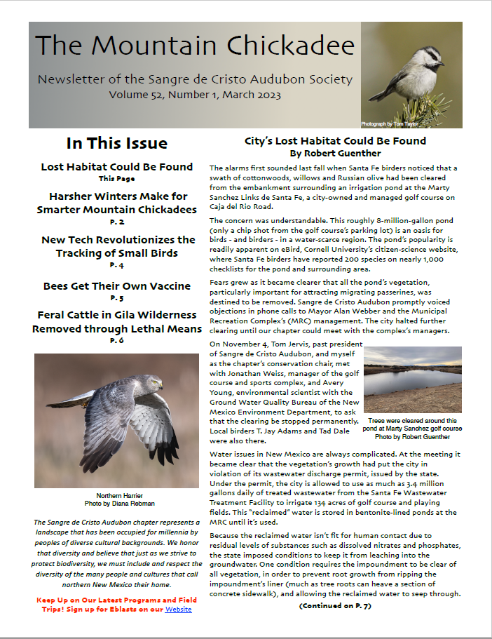 Mountain Chickadee Newsletter March 2023 Cover